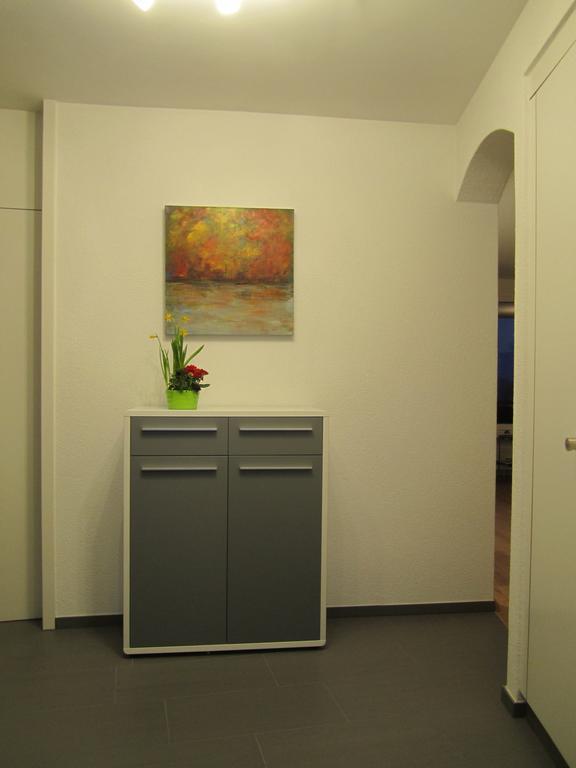 Apartment Alpenblick Superior Ostrava Oda fotoğraf